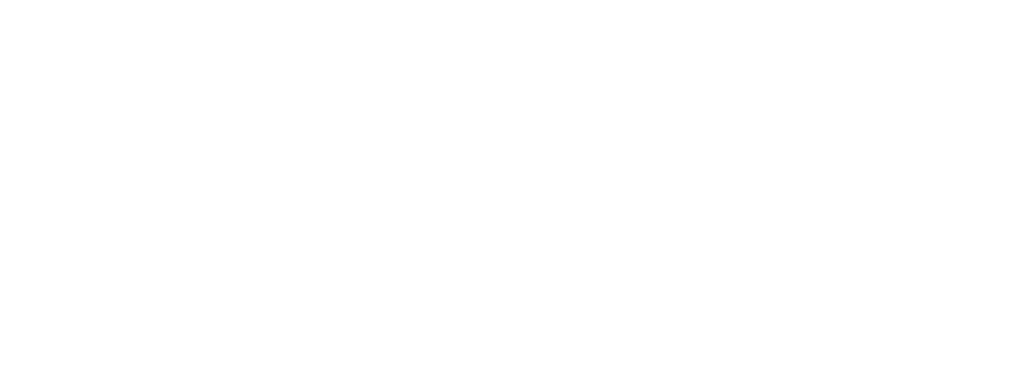 Rokid Store