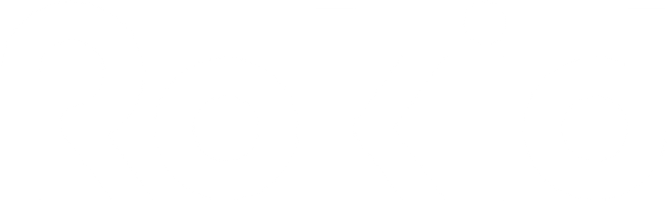 Rokid Store